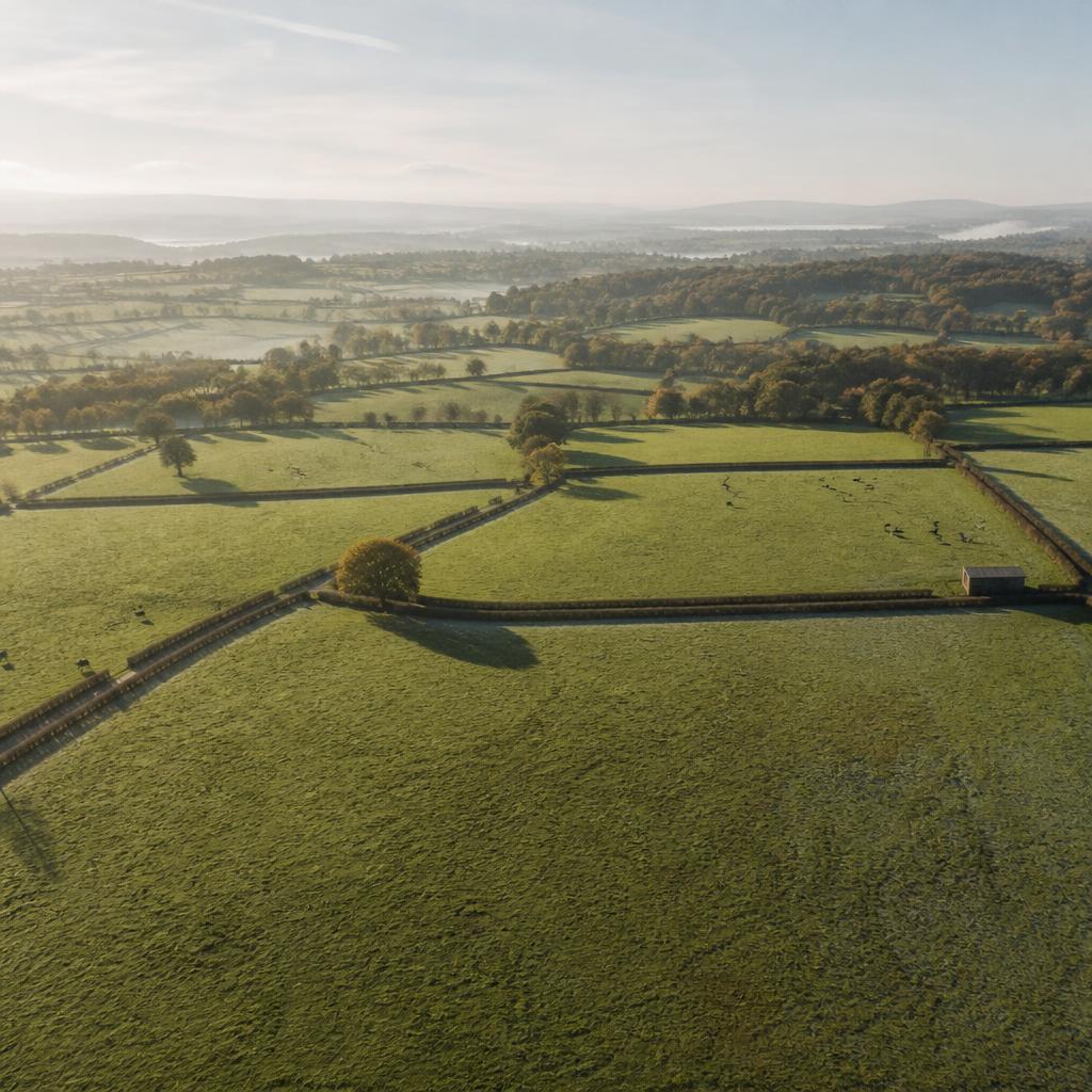 Aerial surveying and inspection drone flight
